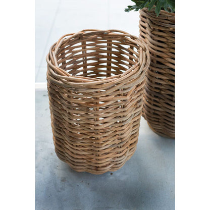 Clementina Basket