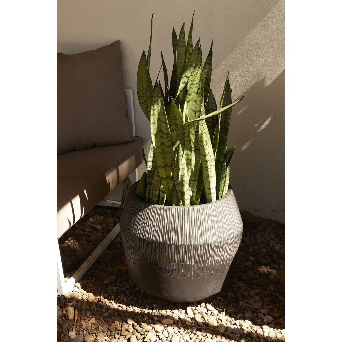 Jasmina Planter