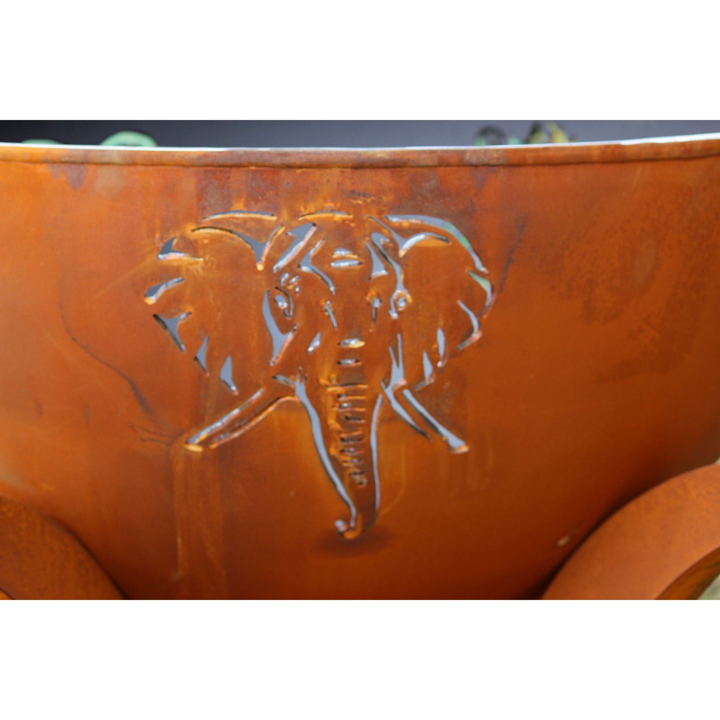 Africa's Big Five Wood Burning Fire Pit