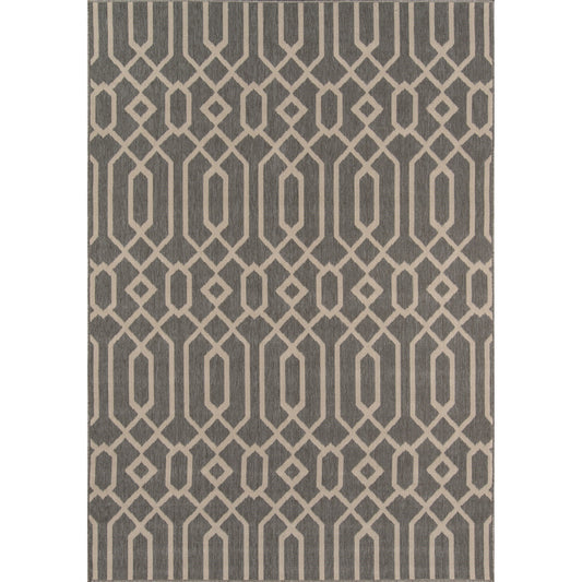 Baja Grey Rug