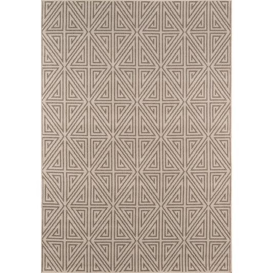 Baja Taupe Rug