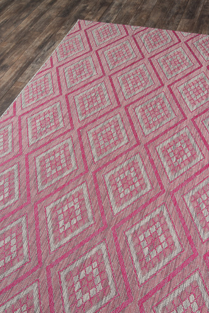 Lake Palace Pink Rug