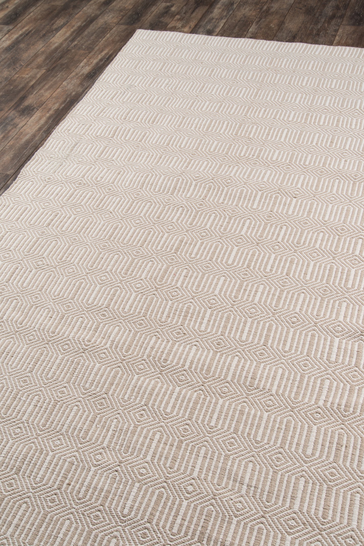 Newton Beige Rug