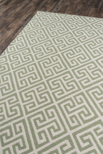 Palm Beach Green Rug