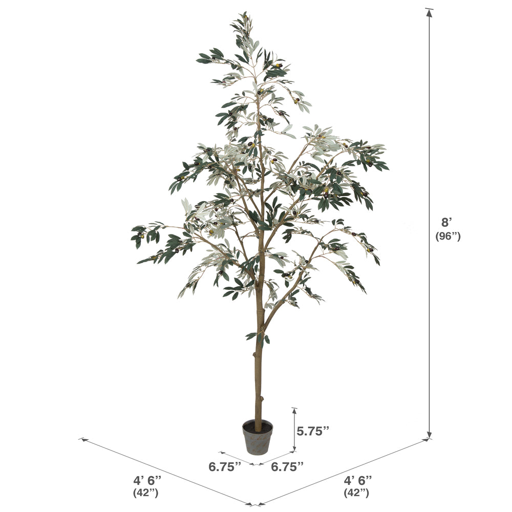 8 ft Potted Olive Tree - Crane & Home