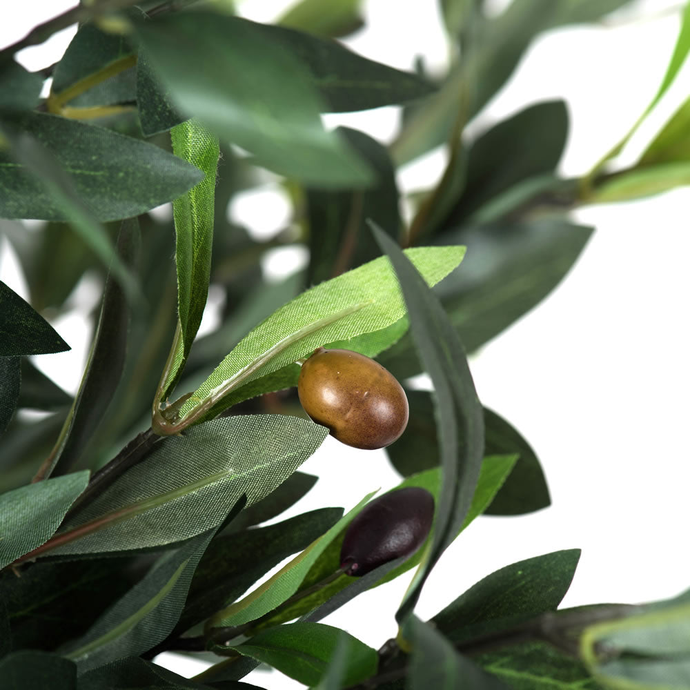 Potted Olive Tree 50"