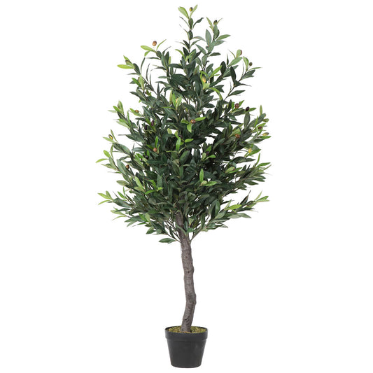 Potted Olive Tree 50"